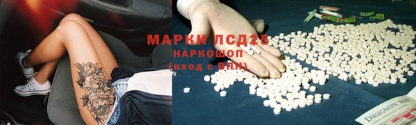 альфа пвп Новодвинск