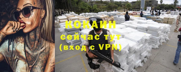 альфа пвп Новодвинск