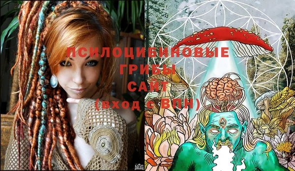 альфа пвп Новодвинск