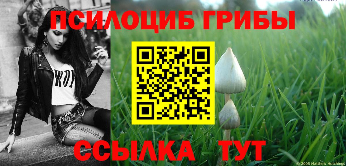 Псилоцибиновые грибы прущие грибы  Вход с VPN  Галлюциногенные грибы Cubensis  Арсеньев 
